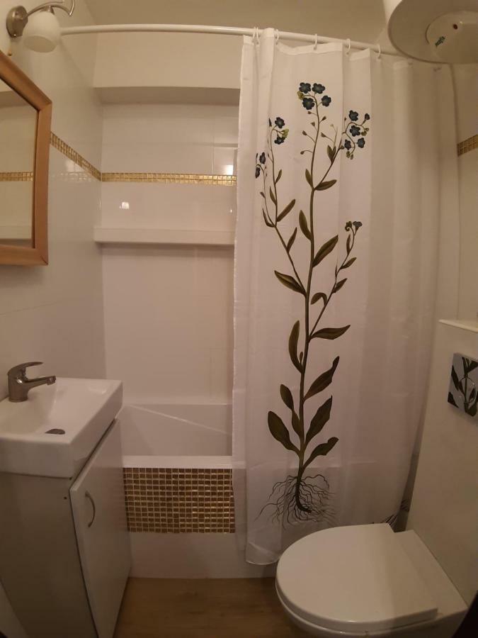 דירות סאנוק Apartament Beksa מראה חיצוני תמונה